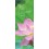 Signet religieux nature 0010