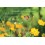 Carte Simple religieuse 0022