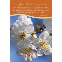 Carte Simple religieuse 0039 "Anniversaire"