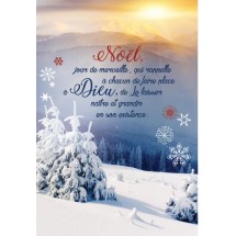 Carte double Noel paysage 0037