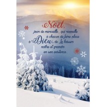 Carte double Noel paysage 0037