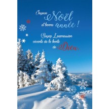 Carte double Noel paysage 0038